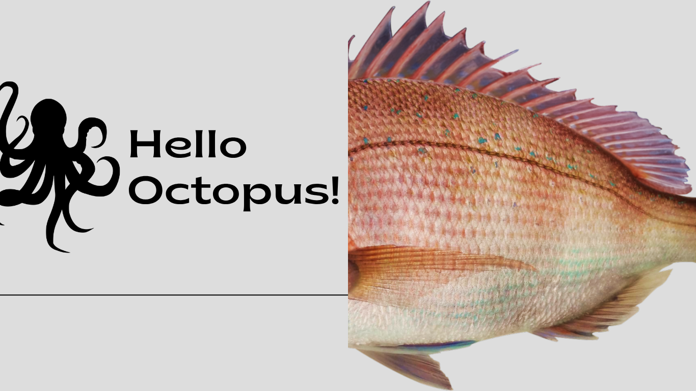 Hello Octopus!
